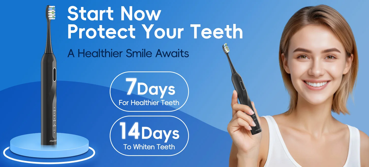 Waterproof Sonic Toothbrush
