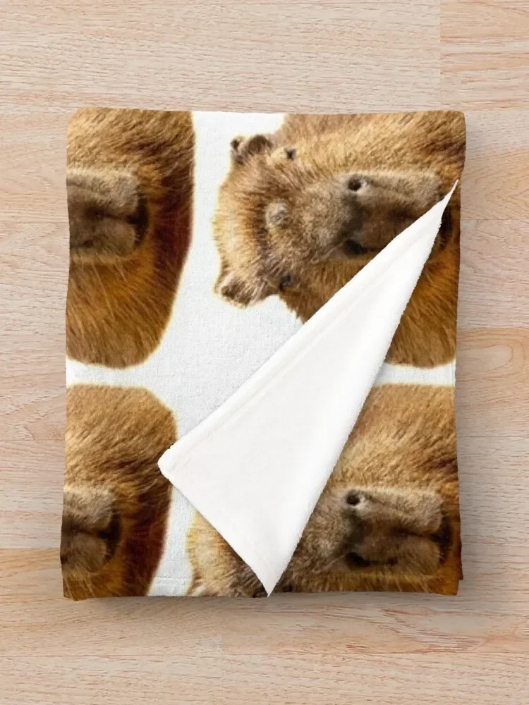 Capybara �޺� �Ʒ� ���� �ִ� ���, ������ �ܿ�, ǫ���� ���� ���� ħ��, ���� ���