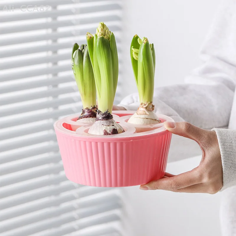 Hyacinth Tulip Seed Hydroponic Flowerpot 3/5Holes Pots For Plants Soilless Plant Pot Lazy Hydroponic Flower Pot Home Decoration 3