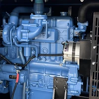 Groupe électrogène diesel silencieux personnalisé de 50 kW, station d'alimentation portable insonorisée pour la maison, le camping, la construction, énergie de secours 3