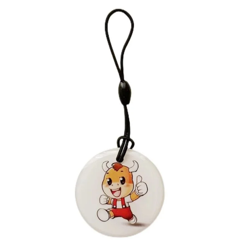 RFID Chip Access Control Key Tag - 125KHz Rewritable & Duplicate-Friendly