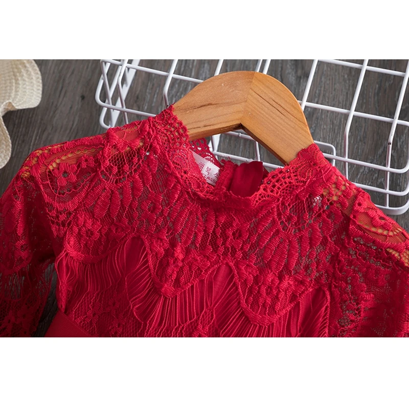 Girl Spring Dress Kids Dresses For Girls Cotton Casual Wear Lace Embroidery 3-8T Flower Long Sleeve Kids Clothing
