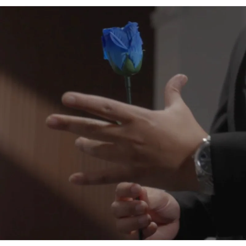 본드 리의 무대 마술 트릭 '영원한 장미', 4가지 색상의 장미가 사라지고 나타나는 마술, 색상 변화 꽃 환상