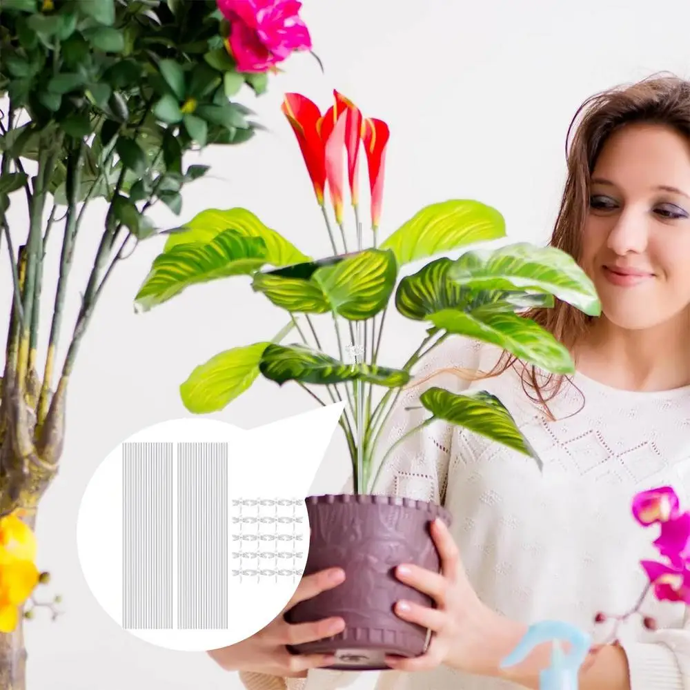 Description Picture 3 of itemAcrylic Plant Stakes Garden Stakes Clear Orchid Stakes Sticks Potted Plant Support Stakes for Supporting Vines Grow Upright