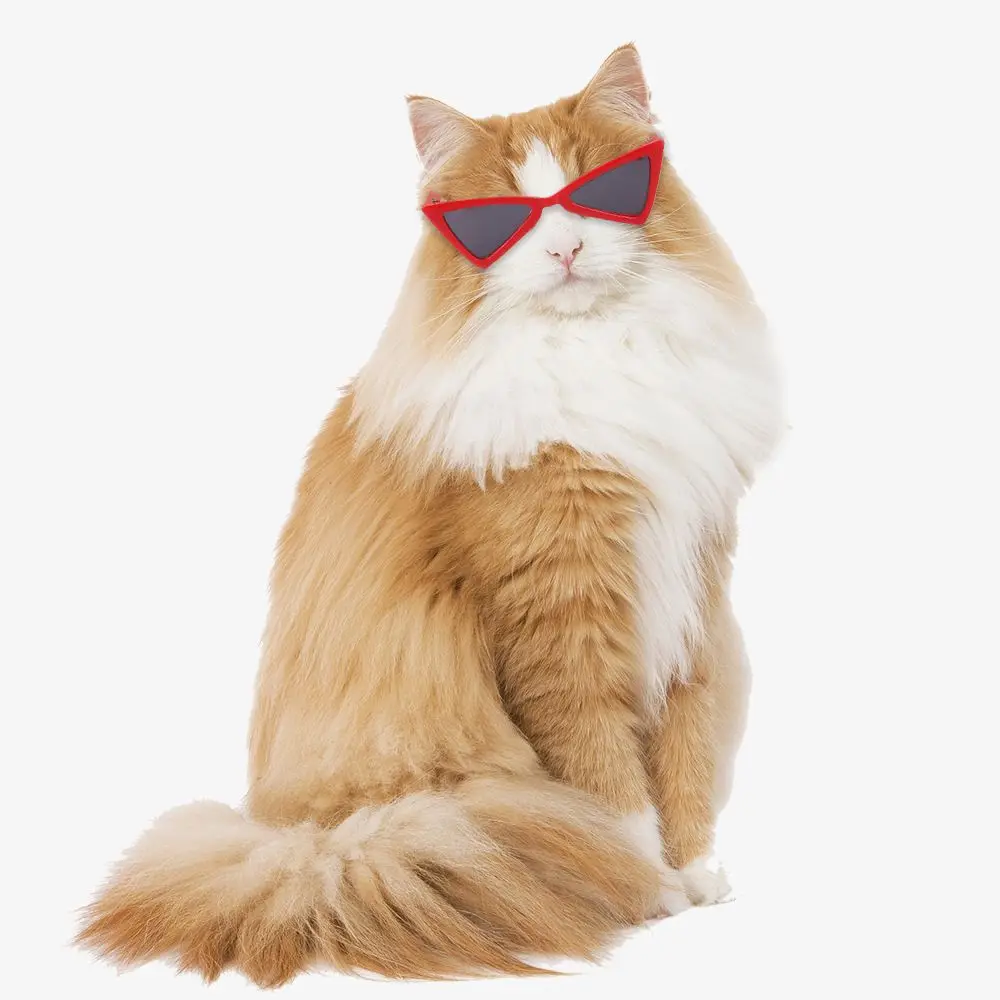Dog And Cats Sunglasses - PeticaDeals