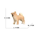 Shiba Inu 2
