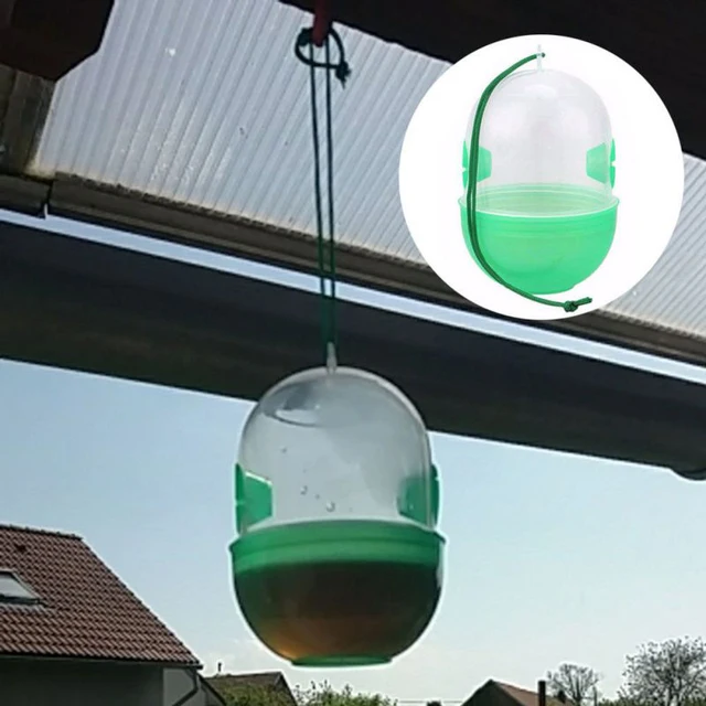 A Kreatív Méh Fogó, Az Asztali Gyümölcslégy Csapdájának Gyilkosának Csapdák Nagykereskedelem 2023 -As Legyek Hornet Trap Műanyag Forró