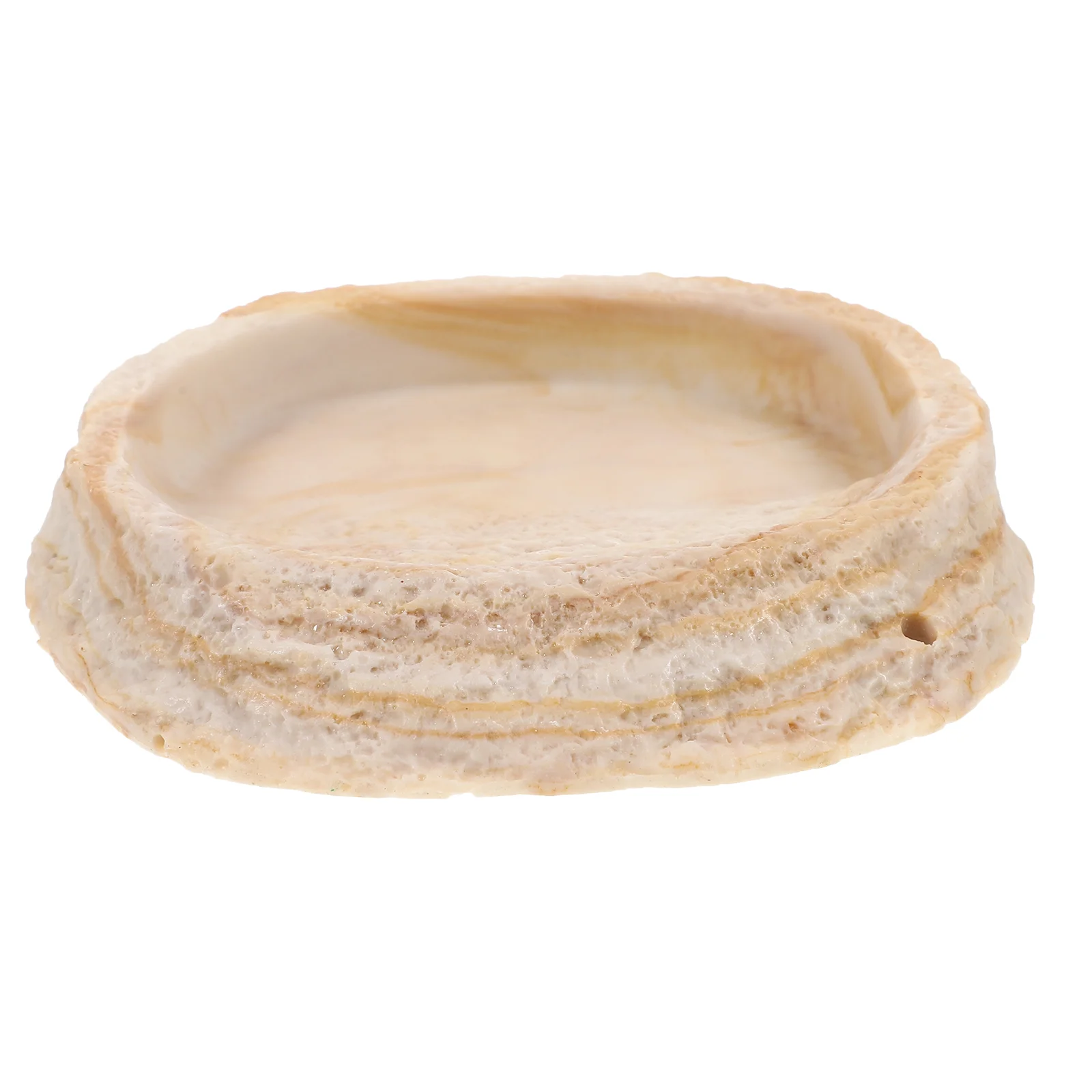 

Reptile Tank Feeder Resin Food Bowl Reptile Cage Feeding Bowl Resin Reptile Water Bowl