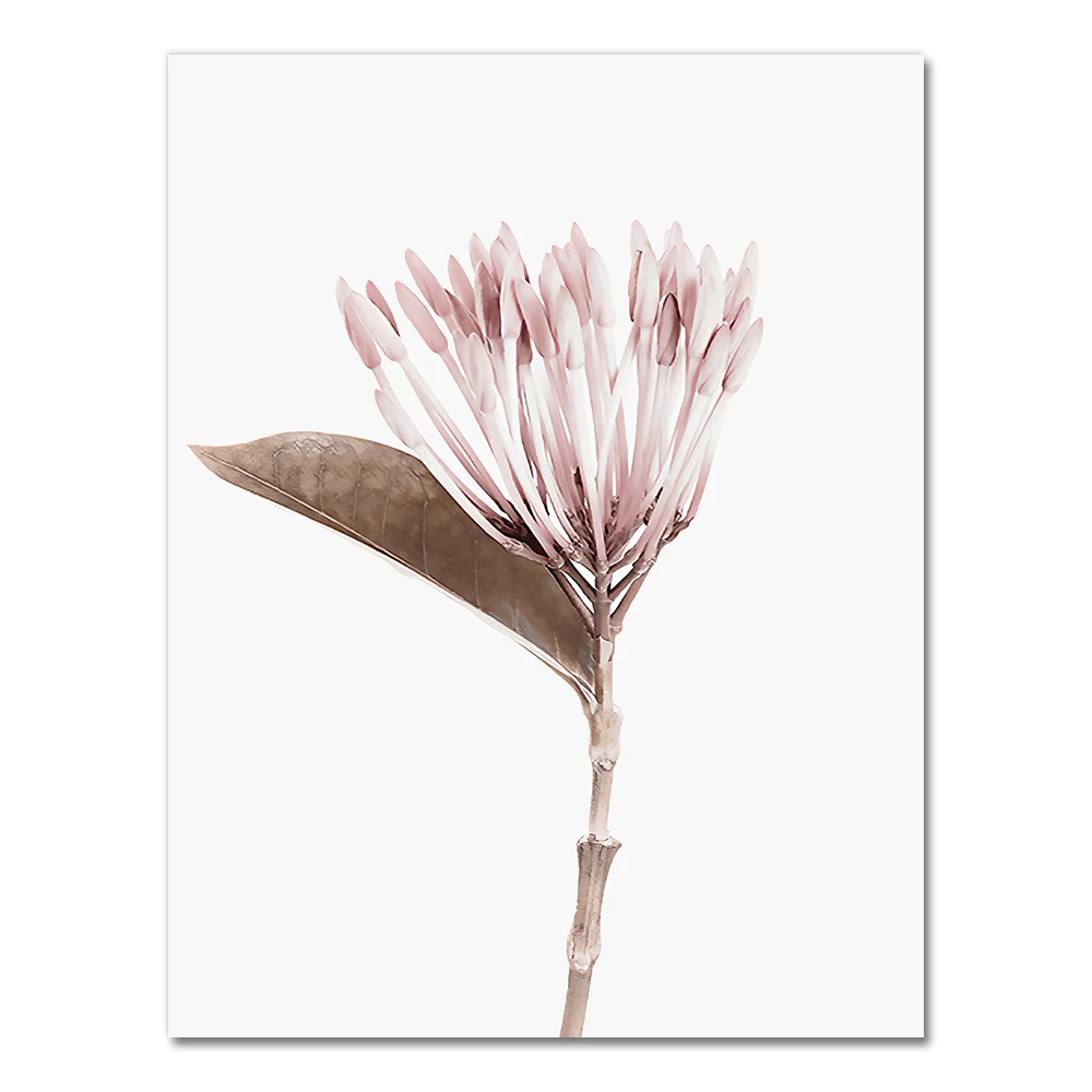 Botanical Flower Art Canvas: Elegant Wall Decor