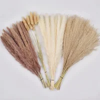 75 Pack Dried Reeds Natural Plants Small Pampas