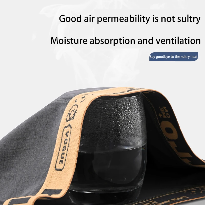 Nanjiren 4pcs Pure Cotton Men Underwear 3A Antibacterial Boxer Solid Soft Casual Underpants High Elastic Breathable Male Panties