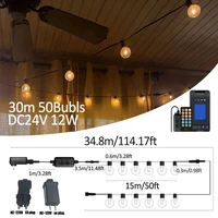 G40 Smart Outdoor DIY LED String Lights Remote Control Lights Bulbs for Patio Garden Outside Backyard Christmas decoration