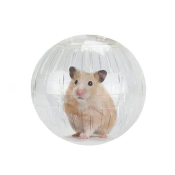 Translucent Hamster Exercise Ball 1