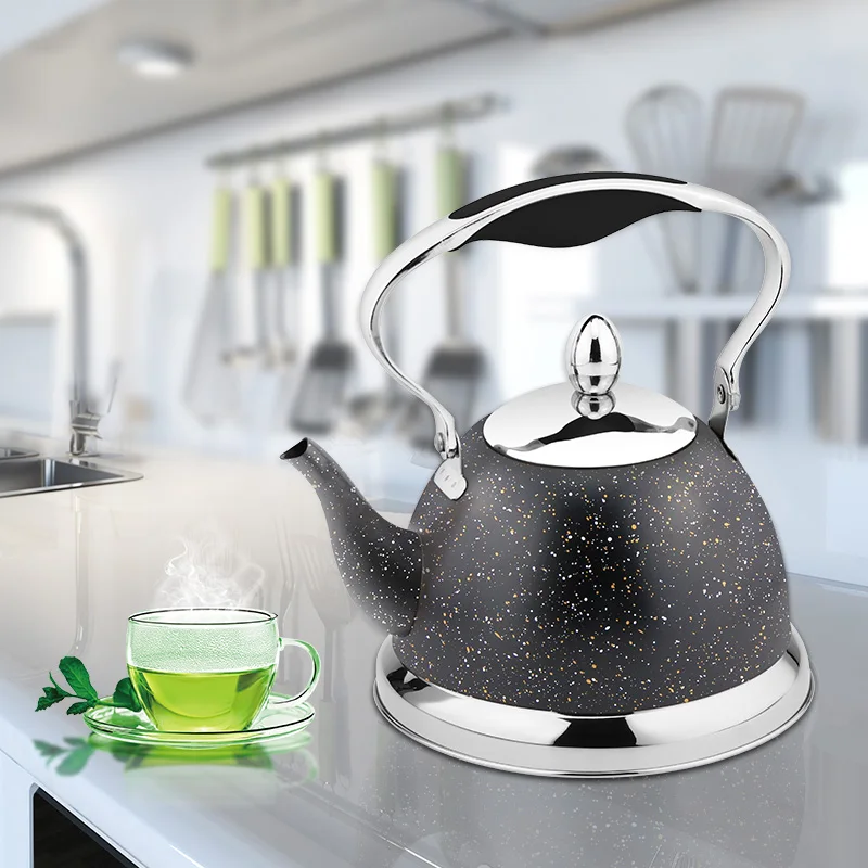 https://ae01.alicdn.com/kf/S4633439c85fe4624900a32a2f48670791/HausRoland-Capacity-1L-Stainless-Steel-Tea-Kettle-Induction-Bottom-Stove-Top-Water-Teapot-With-Filter.jpg_960x960.jpg
