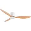 Modern Black White Low Floor DC Motor 30W Ceiling Fans With Remote Control Simple Ceiling Fan Without Light Home Fan 6