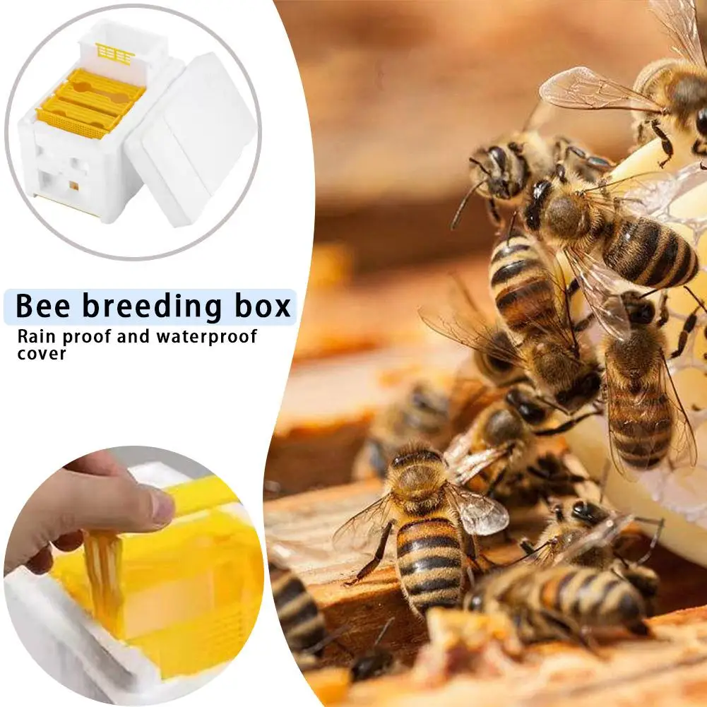 Bee Hive Beekeeping Tools for Beekeeper Supplies Foam Frame Holder Material Equipment Kit Beehive Pollination King Bees Hive Box beehive frame holder beekeeping tools