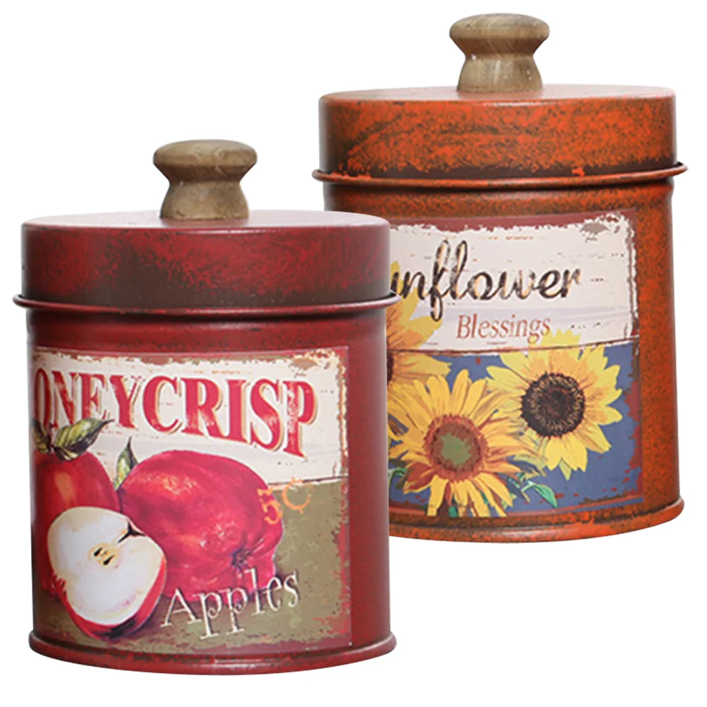 

2 Pcs Vintage Storage with Lid Flower Bucket Iron Planter Candy Jar Food Containers Lids Metal Mini Garden Office