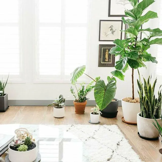 10Db Virág Edény Szőnyeg Kerti Növény Csészealj Csepp Tálca Kerek Alap Tiszta Snack Konténer Asztali Kuka Tároló - Image 2