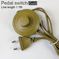 Pedal Switch
