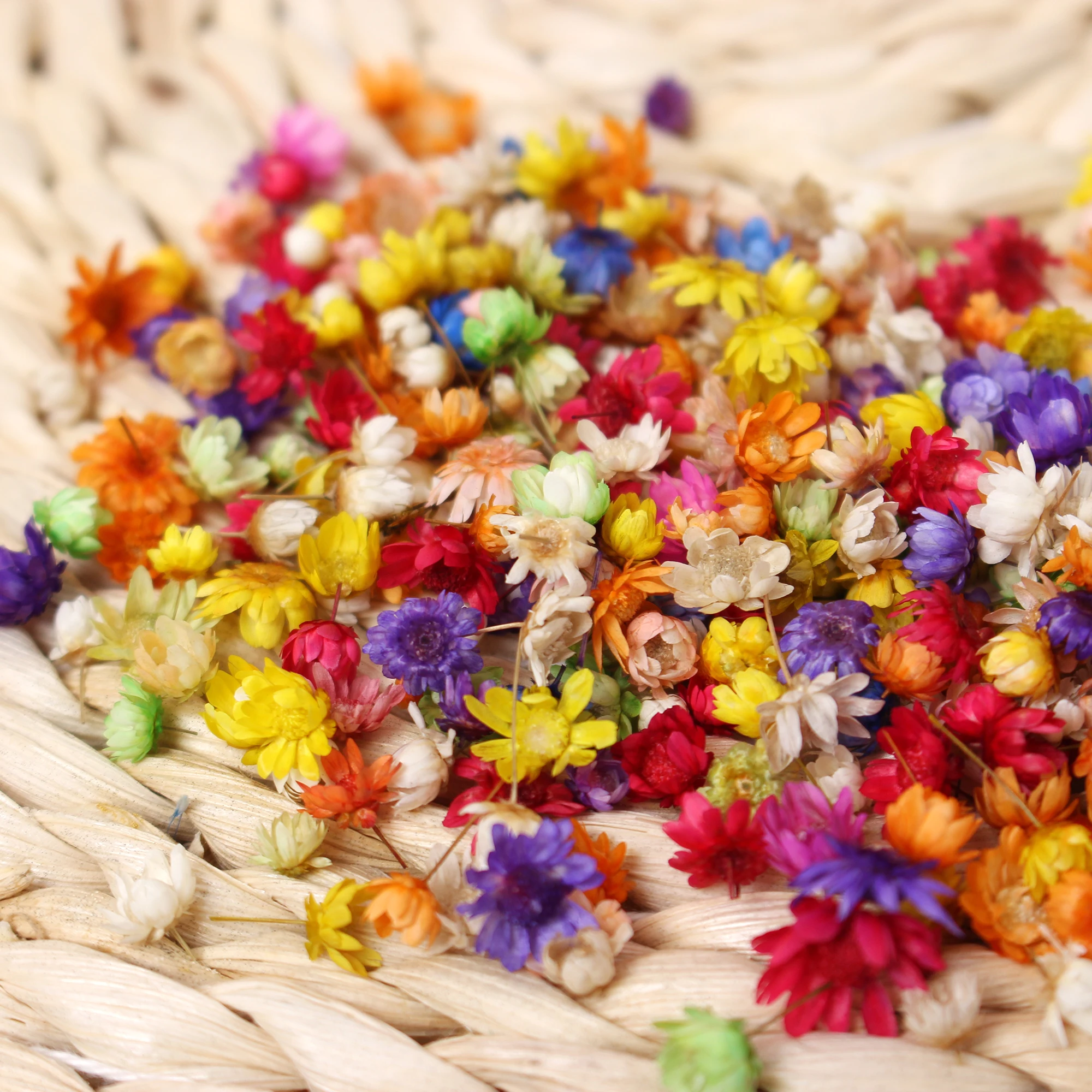 100 Pcs Small Dried Flowers, Tiny Dry Flowers,flowers for Resin