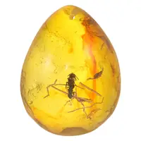 Amber Locket Insect Pendant Ornament Specimen with Decor for DIY Crafts Insects Decoration Stone 1