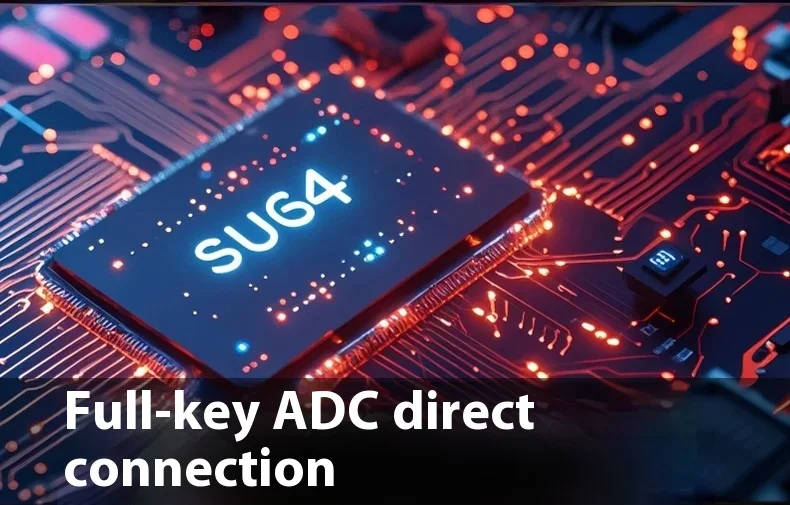dsc-products