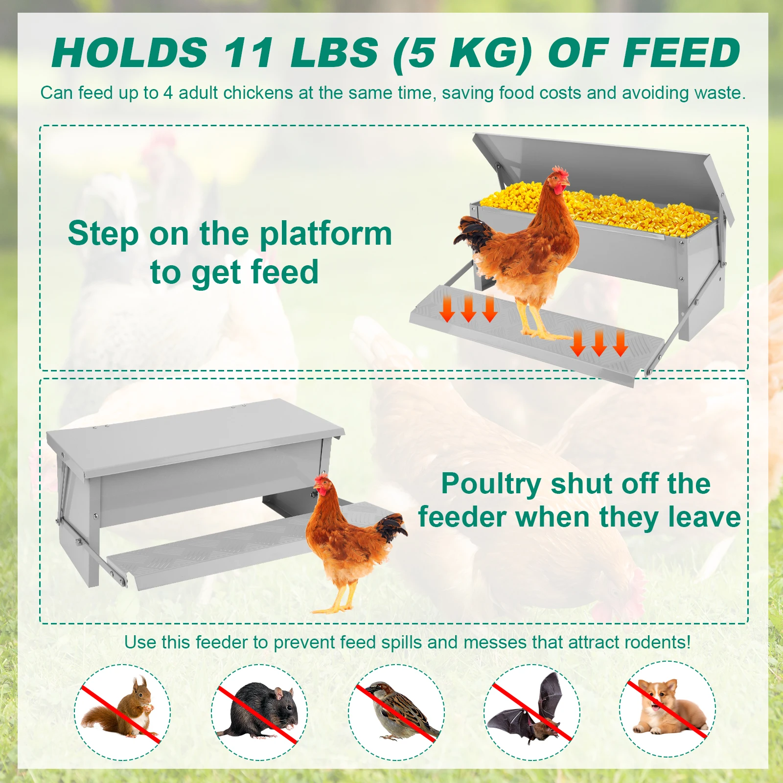 Treadle Chicken Feeder Proof Chicken Feeder Metal Chicken Feeder Suitable for Chicken Bantams Poultry Pheasants Etc