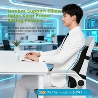 Car Seat Office Chair Back Lumbar Support