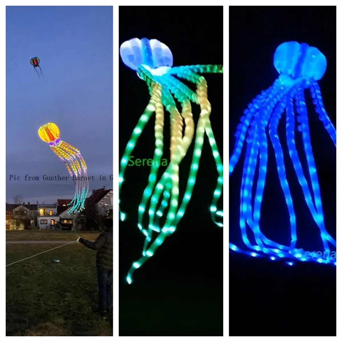 LED lights for 18m octopus kite in high brightness  not including flying kite but just the lights 2