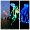 LED lights for 18m octopus kite in high brightness  not including flying kite but just the lights 2