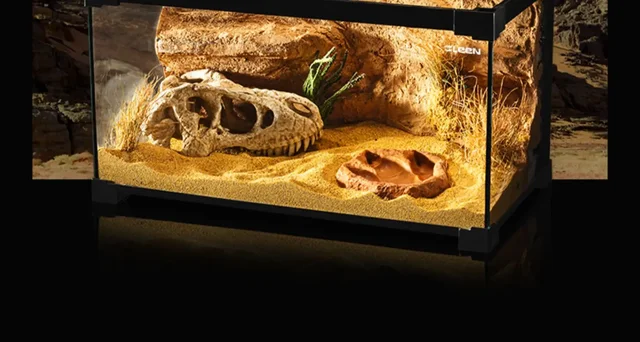 Dinosaur Skull Reptile Pet Hideout Snake Hideout Lizard Basking Platform Reptile Pet Terrarium Aquascape 6