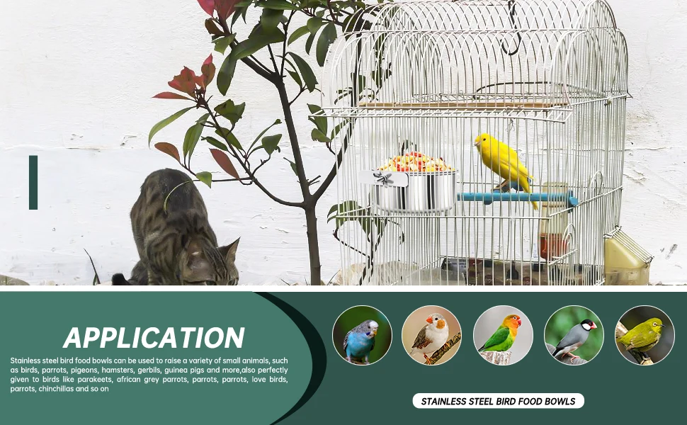 bird food bowl can be used to raise birds, parrots, pigeons, hamsters, gerbils, guinea pigs and more