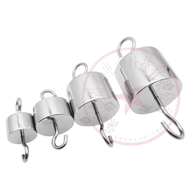 M1 Double Hook Weight Standard Counterweight Newton Stainless Steel Tensile Test With Hook Weight