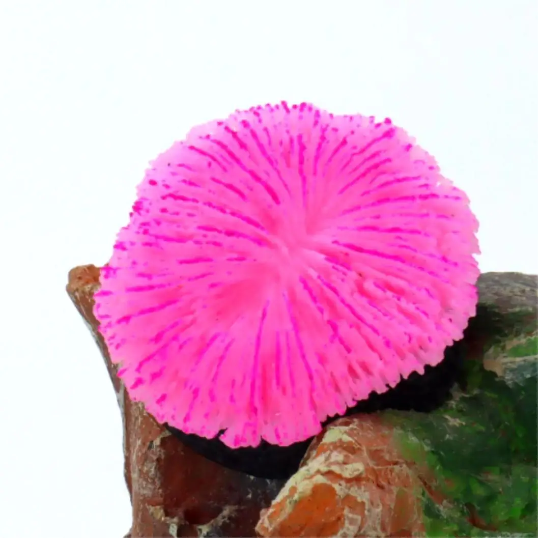 Saw Coral Decoration 4