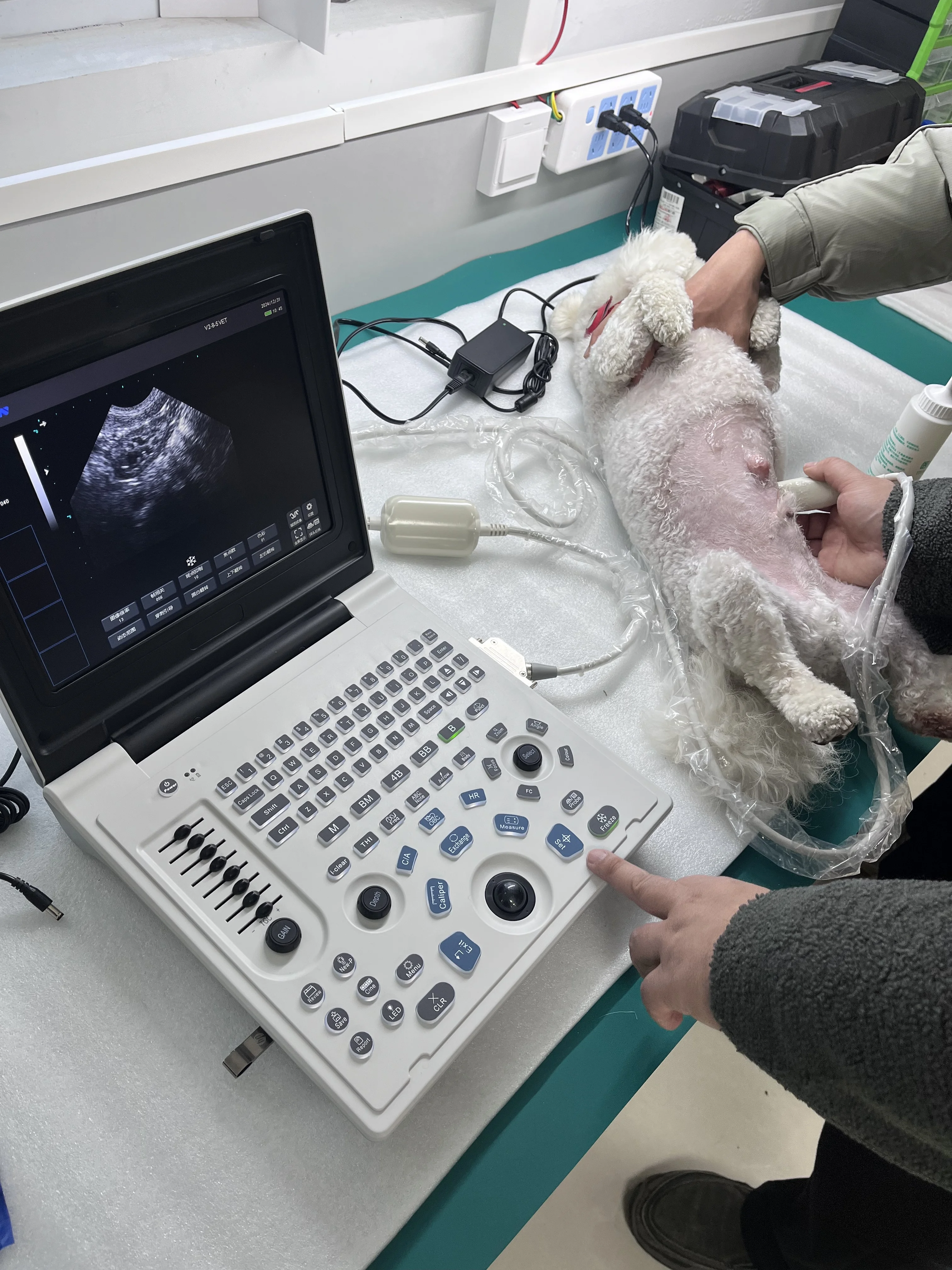 Escáner de ultrasonido portátil en blanco y negro para uso veterinario en animales de compañía.