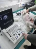 Escáner de ultrasonido portátil en blanco y negro para uso veterinario en animales de compañía.