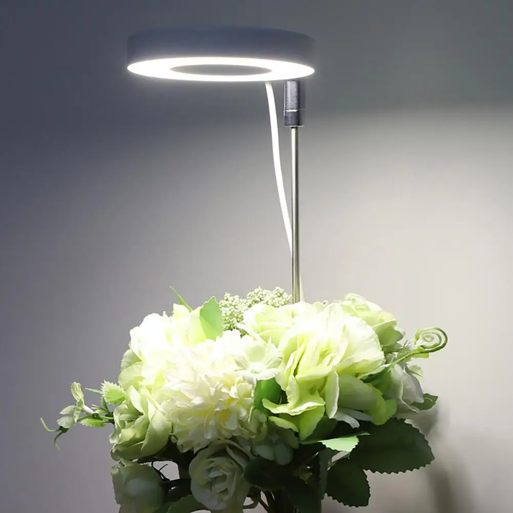 

Led Plant Light Cactus Grow Light Efficient Full Spectrum Led Grow Lights for Flower Bonsai Plants Wide Illumination Range