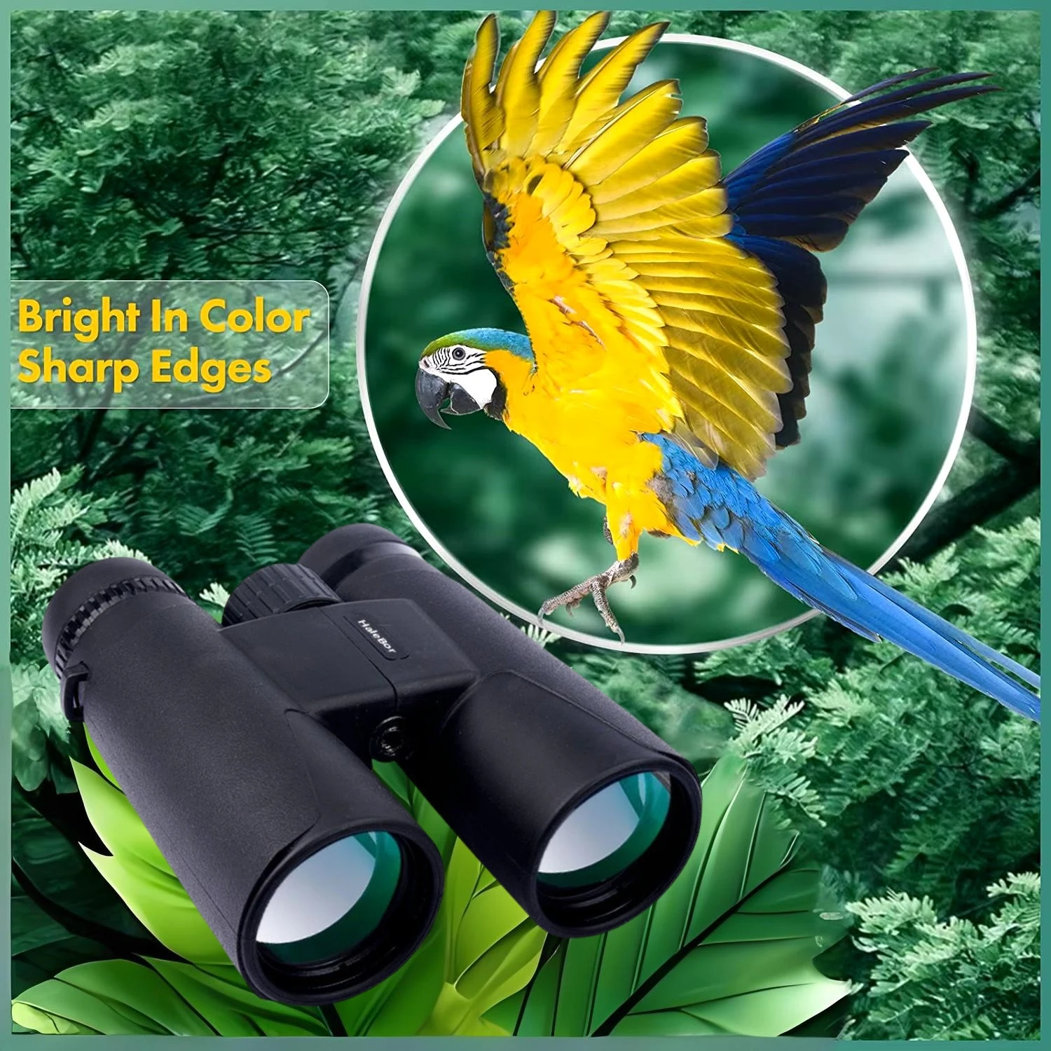 12X50 HD Professional Binoculars Telescope Long Range High Magnification IPX4 Waterproof Telescope,For Birdwatching Spyglass 3