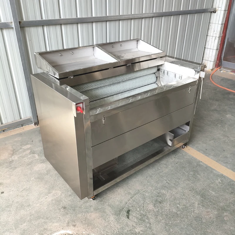 Industrial vegetable potato carrot taro cassava ginger yam root washing and peeling washer peeler machine 5