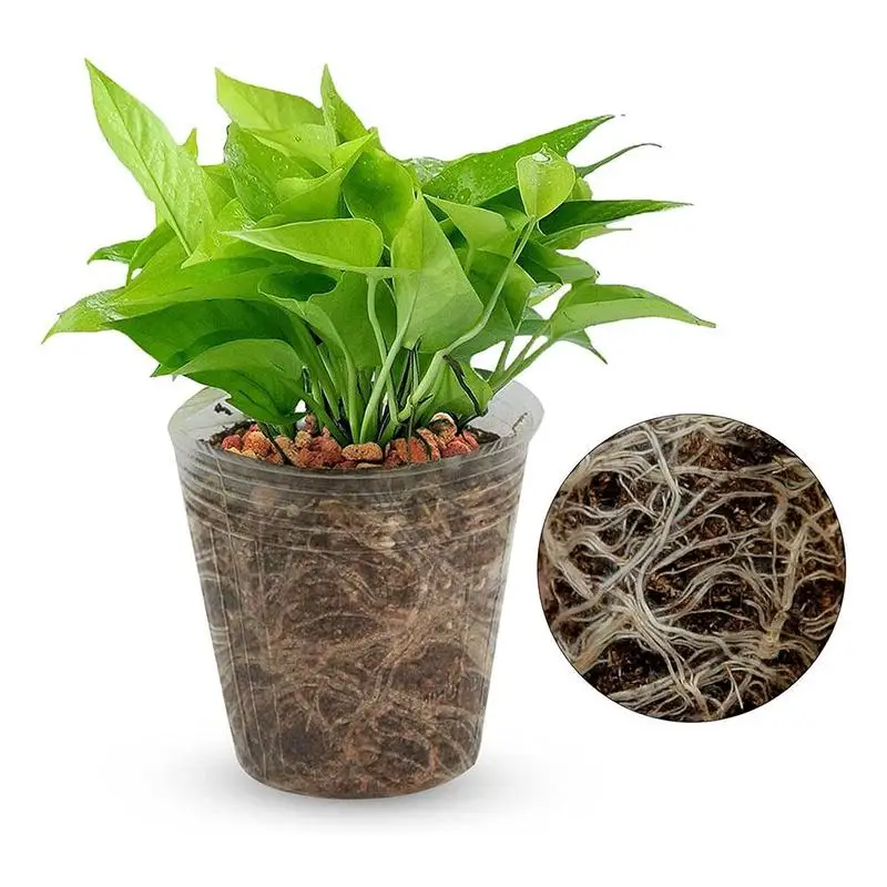 100pcs Transparency Nursery Pots Grow Planting Nutrition Orchid Propagation Container Cup Seedling Bags Garden Supplies Rai D4J3 best Flower Pots & Planters