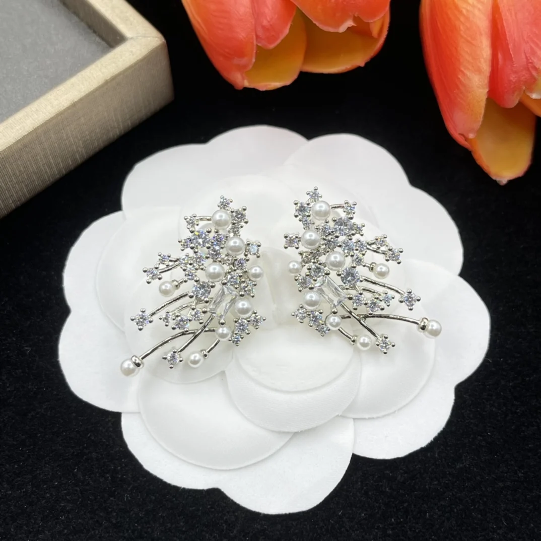 

New popular earrings in Europe and America