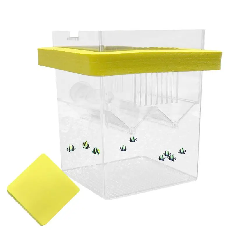 Fish Breeding Box Fish Breeding Box Floating Fish Hatchery Incubator Tank With Suction Cups Guppy Betta Isolation Box For Aquarium