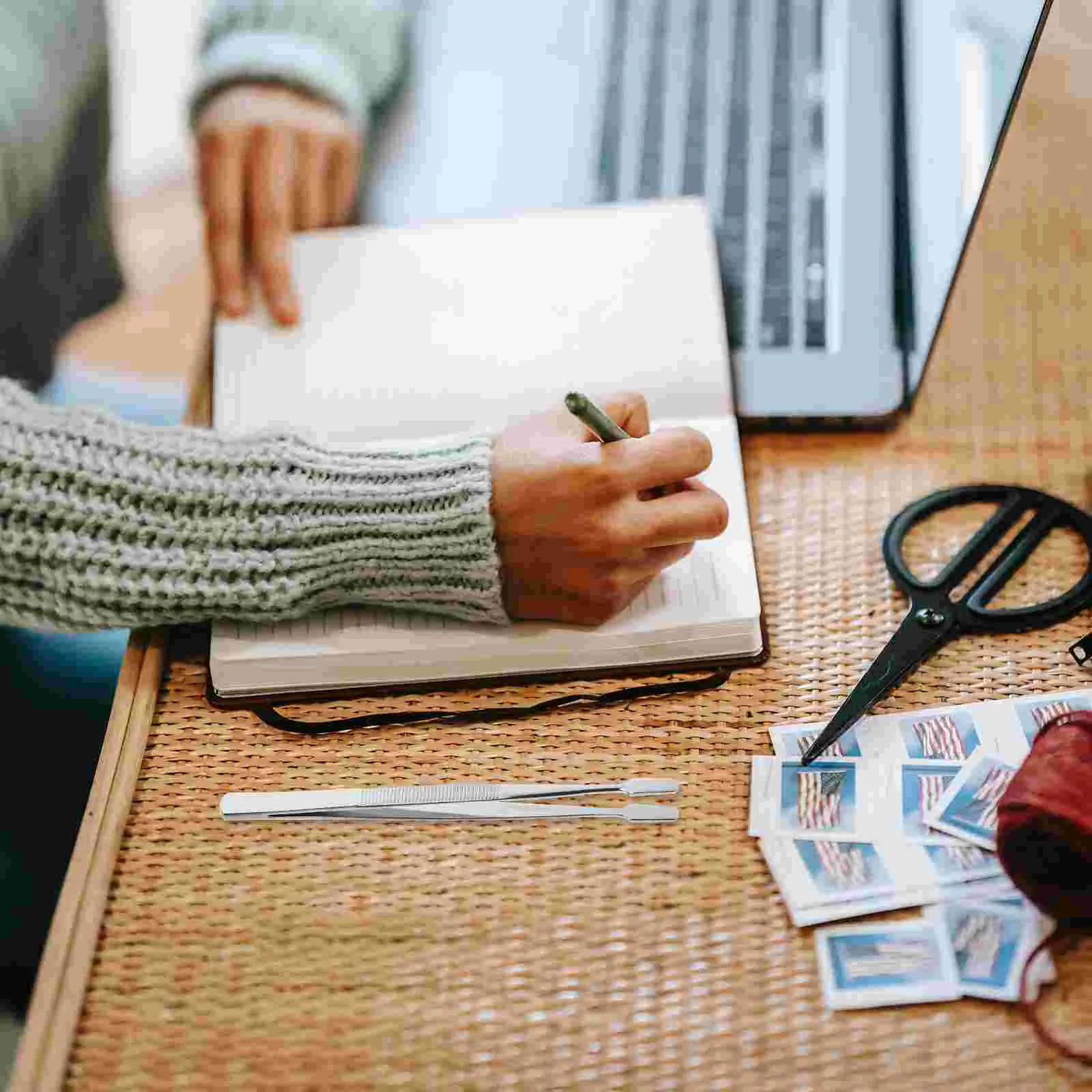 

Stamp Tweezers Philately Stamps Collector Tools Stainless Steel Stamp Tweezers ( Silver )