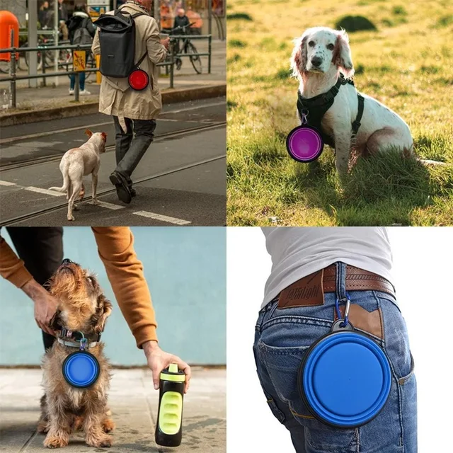 Folding Portable Silicone Dog Feeder Bowl 2 In 1 Pet Dispenser Outdoor Travel Dog Cat with Carabiner Bottle Food Water Container 4