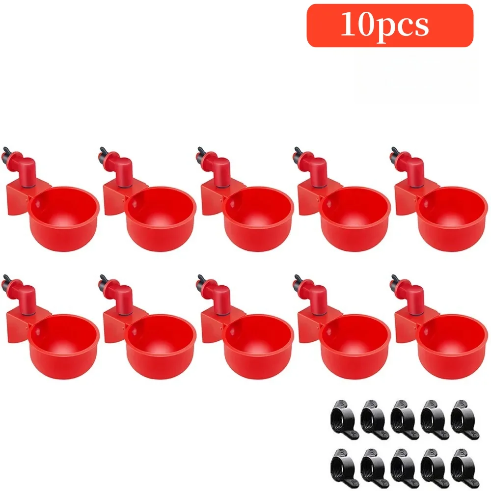 10 Pcs