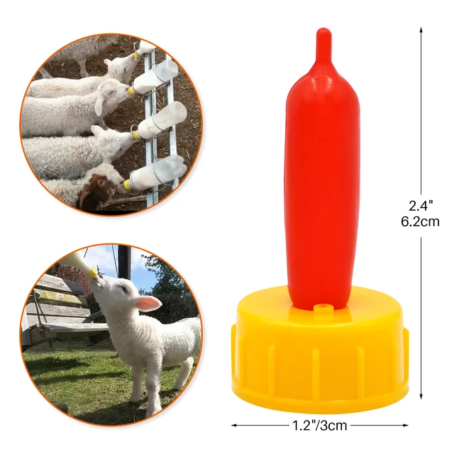 Biberon Per Agnelli E Capre - Capezzolo Per Bottiglia Latte Animali, Ideale Per Pecore, Maiali E Mucche - Foto 4
