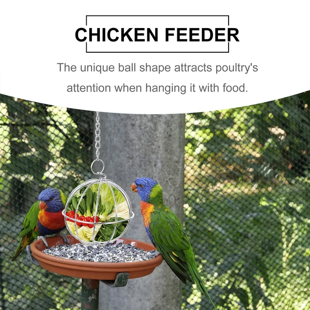 2 Db Lógó Etető Golyó Háziállat -Adagoló Csirke Rozsdamentes Acél Guinea Játékok Alakja A Baromfi Madarak Puet - Image 3