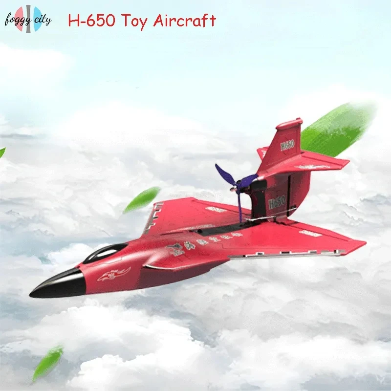 H650 Raptor Plane Water Land Airplane 65cm Brushless Motor Fixed Wing Foam 6CH Waterproof RC Aircraft Model Toys for Boys Adults 4