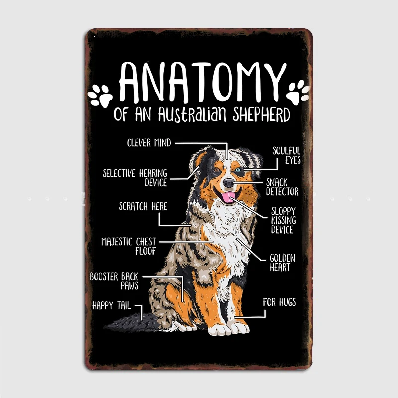 

Anatomy Of An Australian Shepherd DogsMetal Poster Garage Decoration Living Room Cinema Living Room Custom Tin Sign Poster