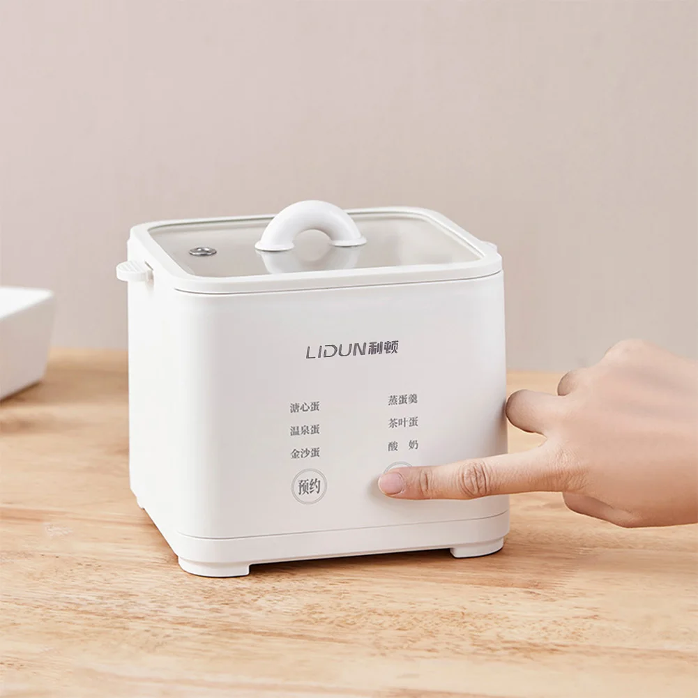 DMWD 다기능 전기 급속 계란 조리기, 6 계란 보일러 찜기, 단일 및 이중 레이어, 자동 전원 끄기, 오믈렛 요리 도구